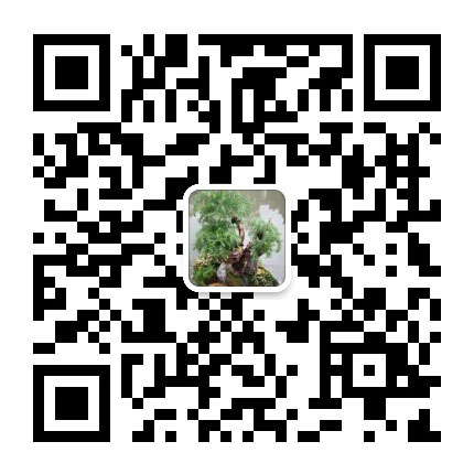 這里是您的網(wǎng)站名稱